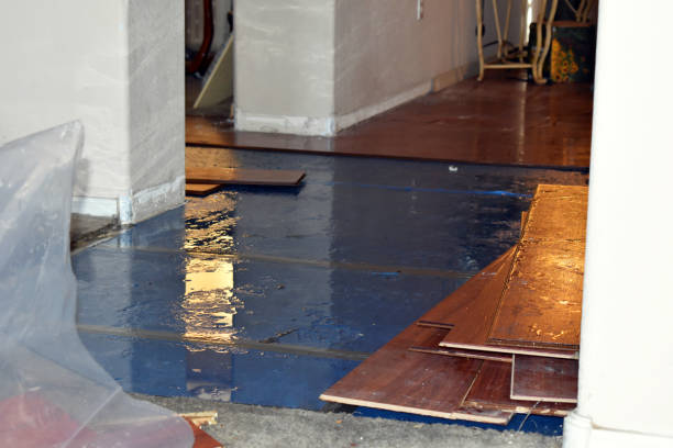 Professional Flood Damage Restoration technician working in Dilley, TX